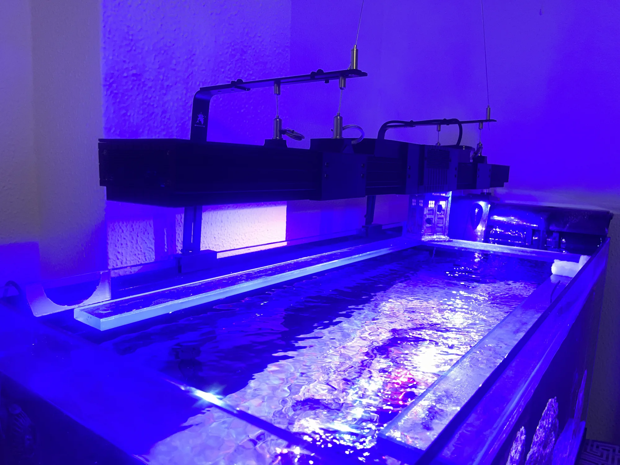 La lámpara colgada sobre el acuario, encendida en azul y ultravioleta