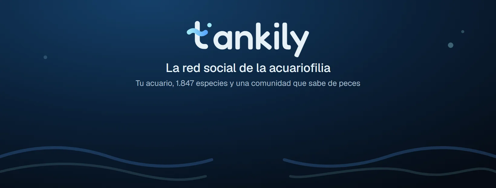 Portada de Tankily para Facebook