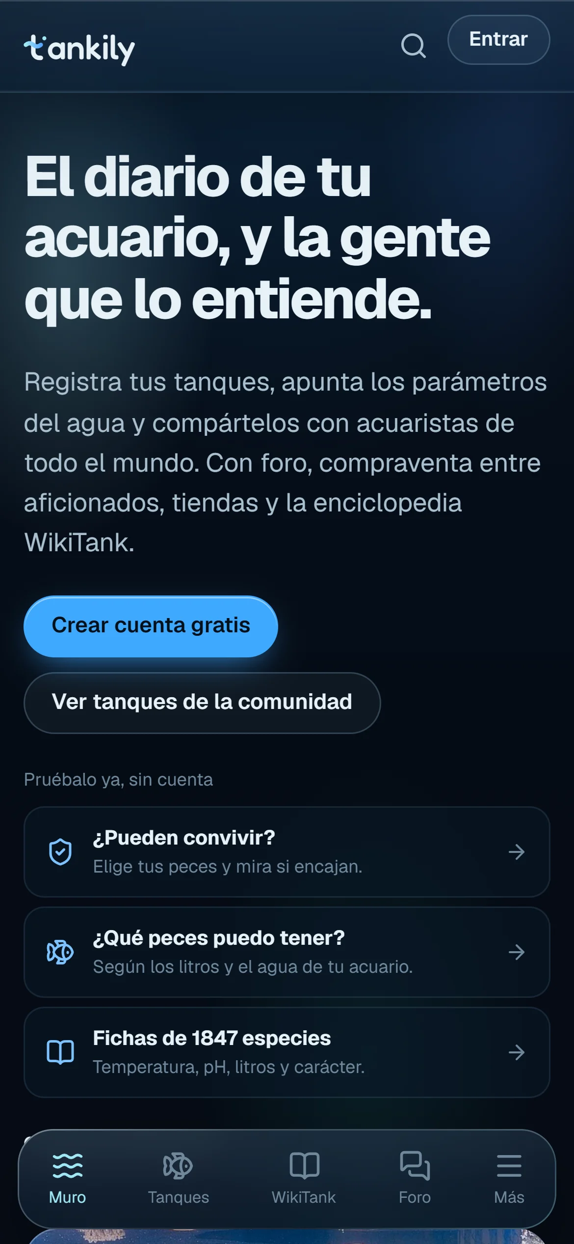 Tankily - portada en móvil